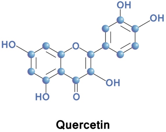 the-chemical-structure-of-quercetin.jpg